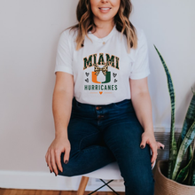 Load image into Gallery viewer, Miami Hurricane Cheetah