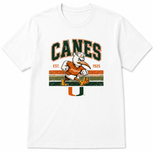 Load image into Gallery viewer, Vintage Canes Football
